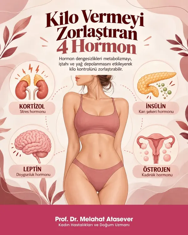 Bilgi kartı: Kilo vermeyi zorlaştıran 4 hormon; kortizol, insülin, leptin ve östrojen