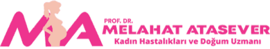 Prof. Dr. Melahat Atasever