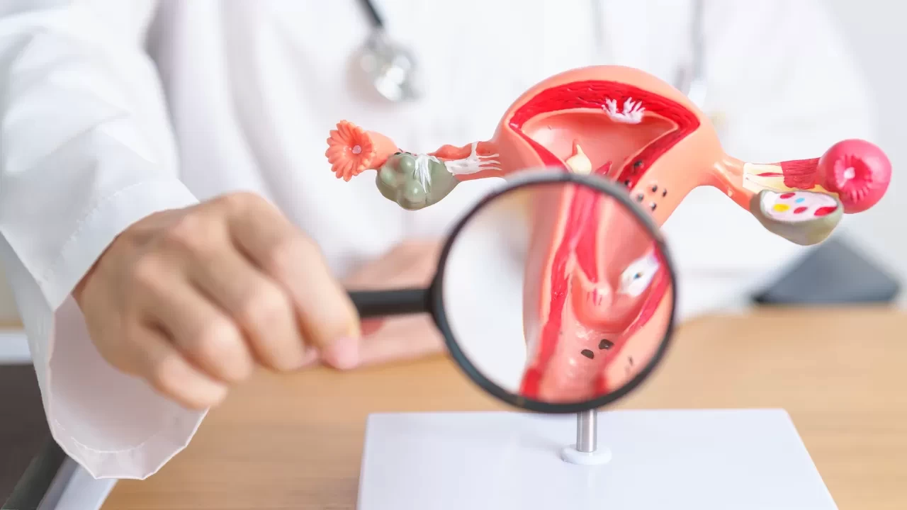 Üreme Sağlığı Ve İnfertilite Tedavileri